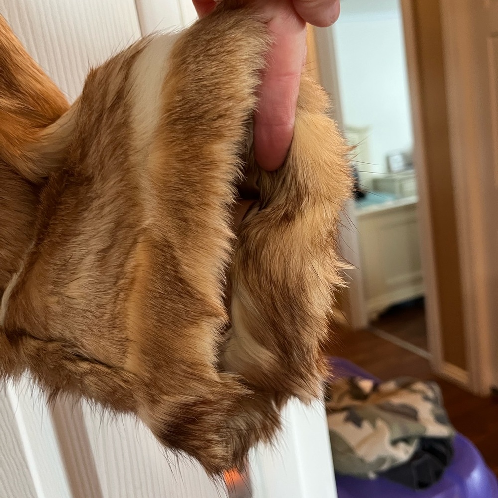 Luxurious Fur Coat with Double-Breasted Design - Picture 16 of 16